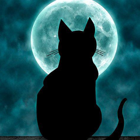 Imagem do grupo ılı⇝BLACK CHAT⇜ılı