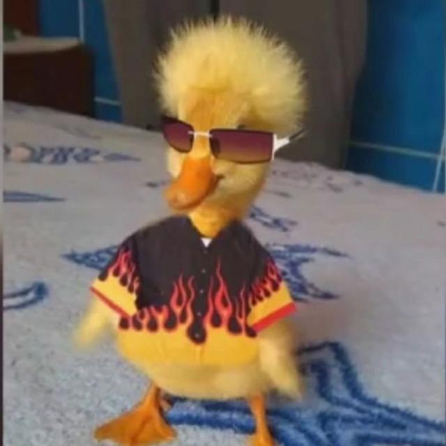 Imagem do grupo ★ 𝘖𝘱𝘤𝘪𝘰𝘯𝘢𝘭 𝘛𝘶𝘳𝘪𝘴𝘵𝘢 ★